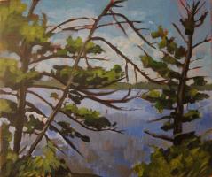 cottage_june_2014_3 Image