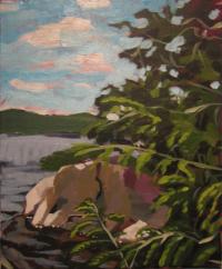 cottage_mid_july_2_2014 Image