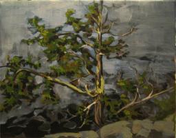 tree_over_water Image