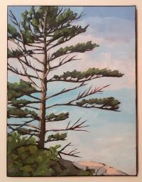 treetop2 Image